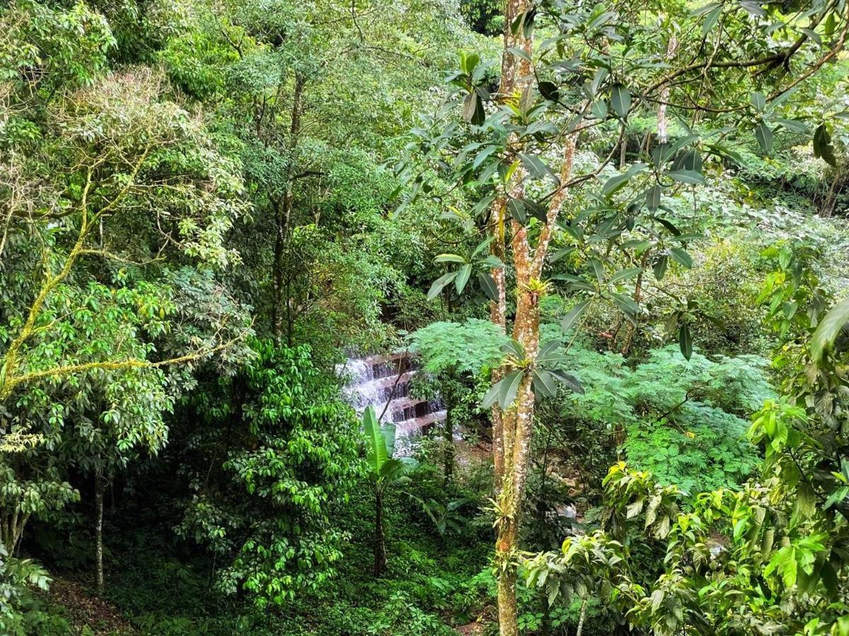 La Nube Eco-Hotel Villavicencio Bagian luar foto